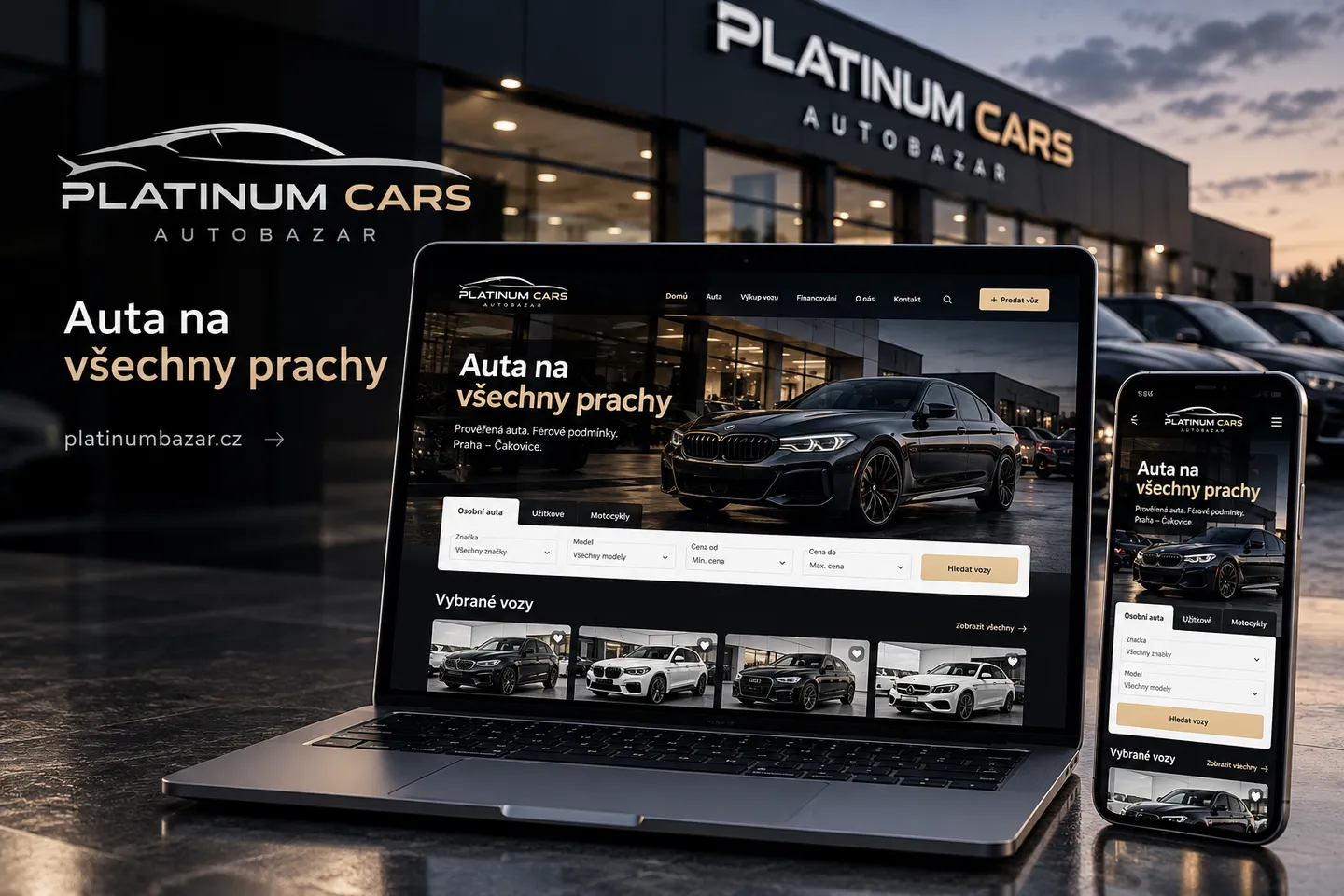 Platinum Cars